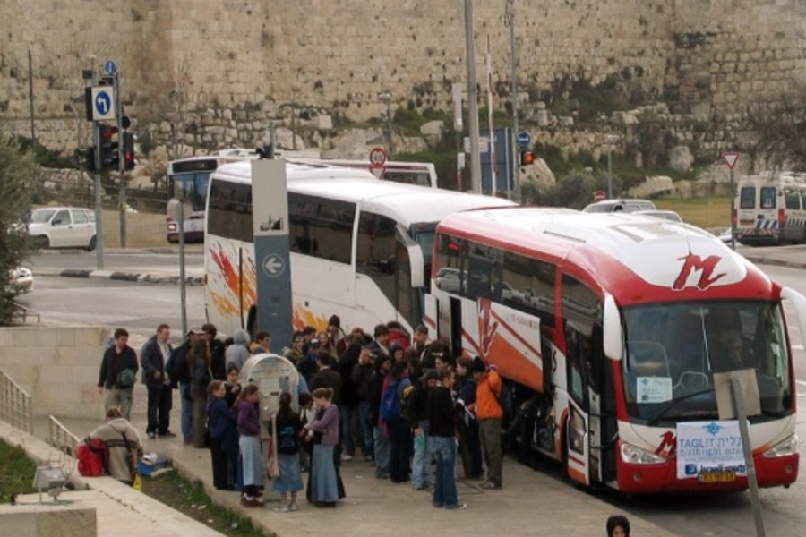 משתתפים בתגלית